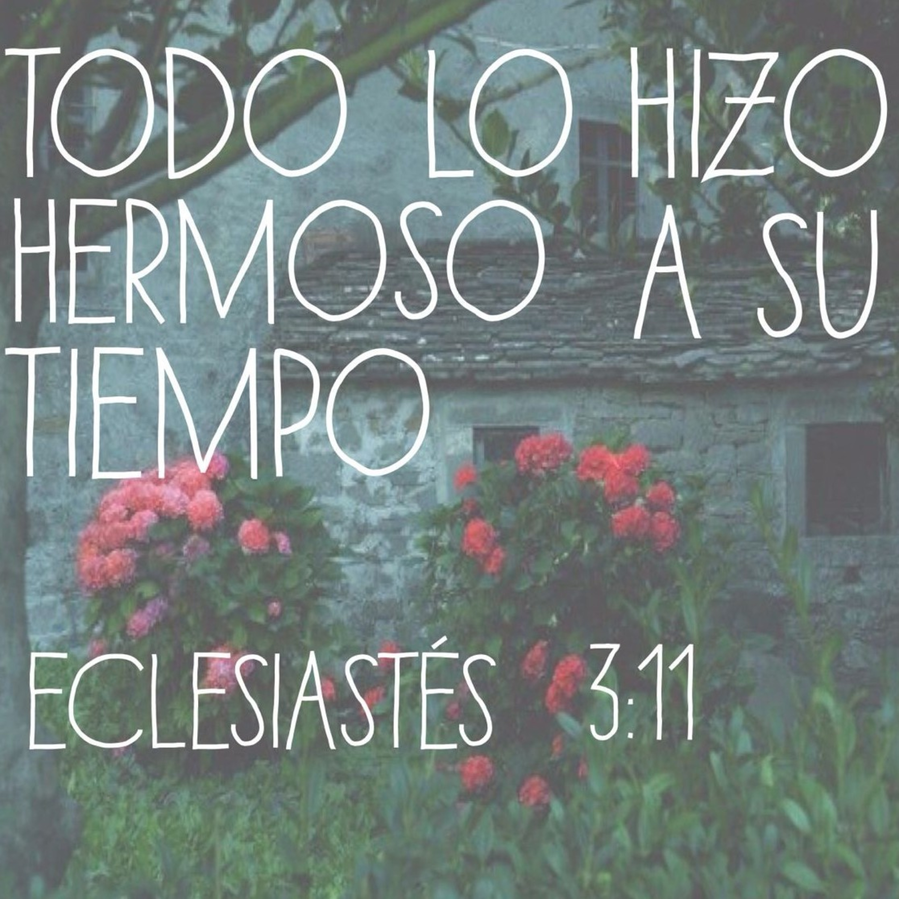 Conversiones