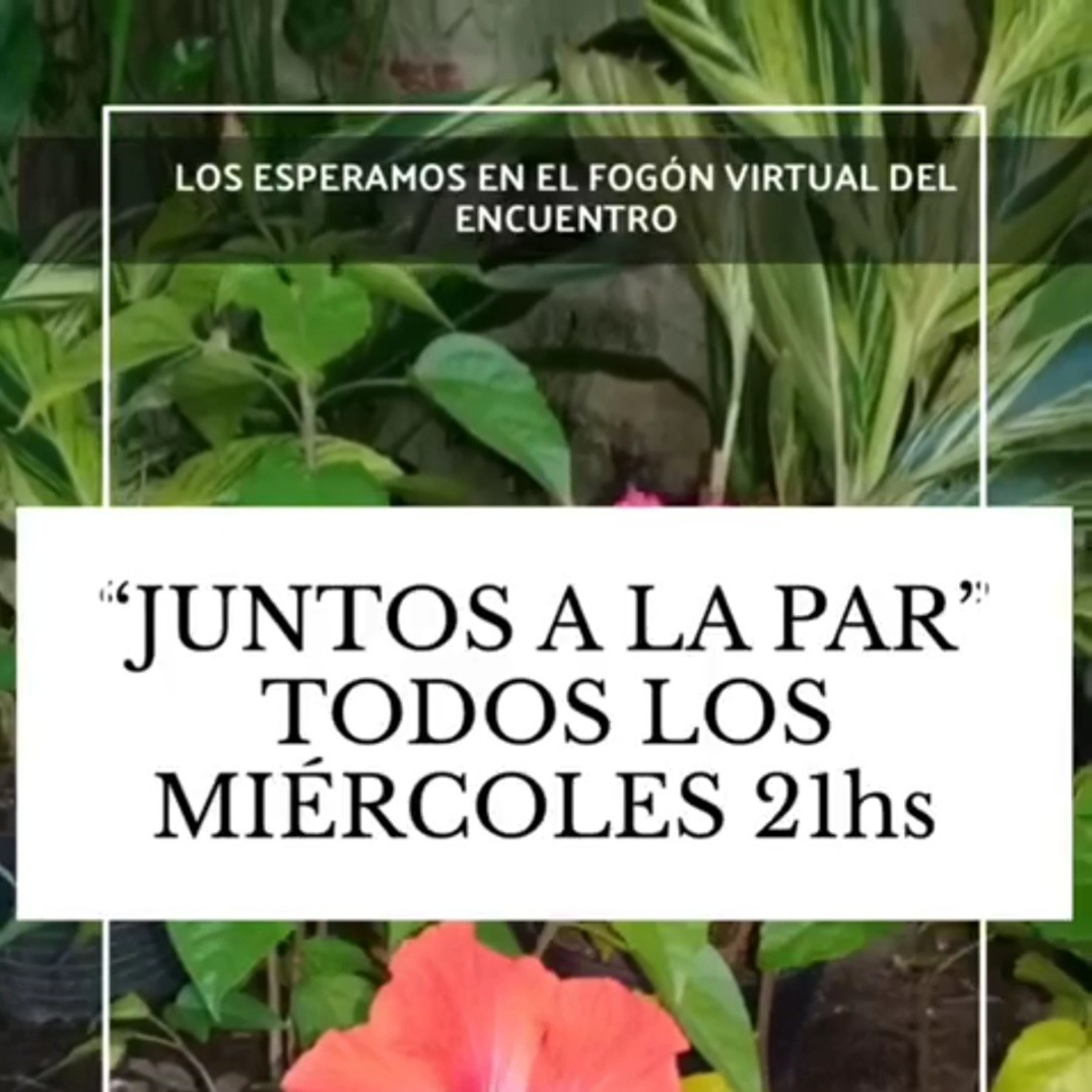 Salud Integrativa- Estar Bien
