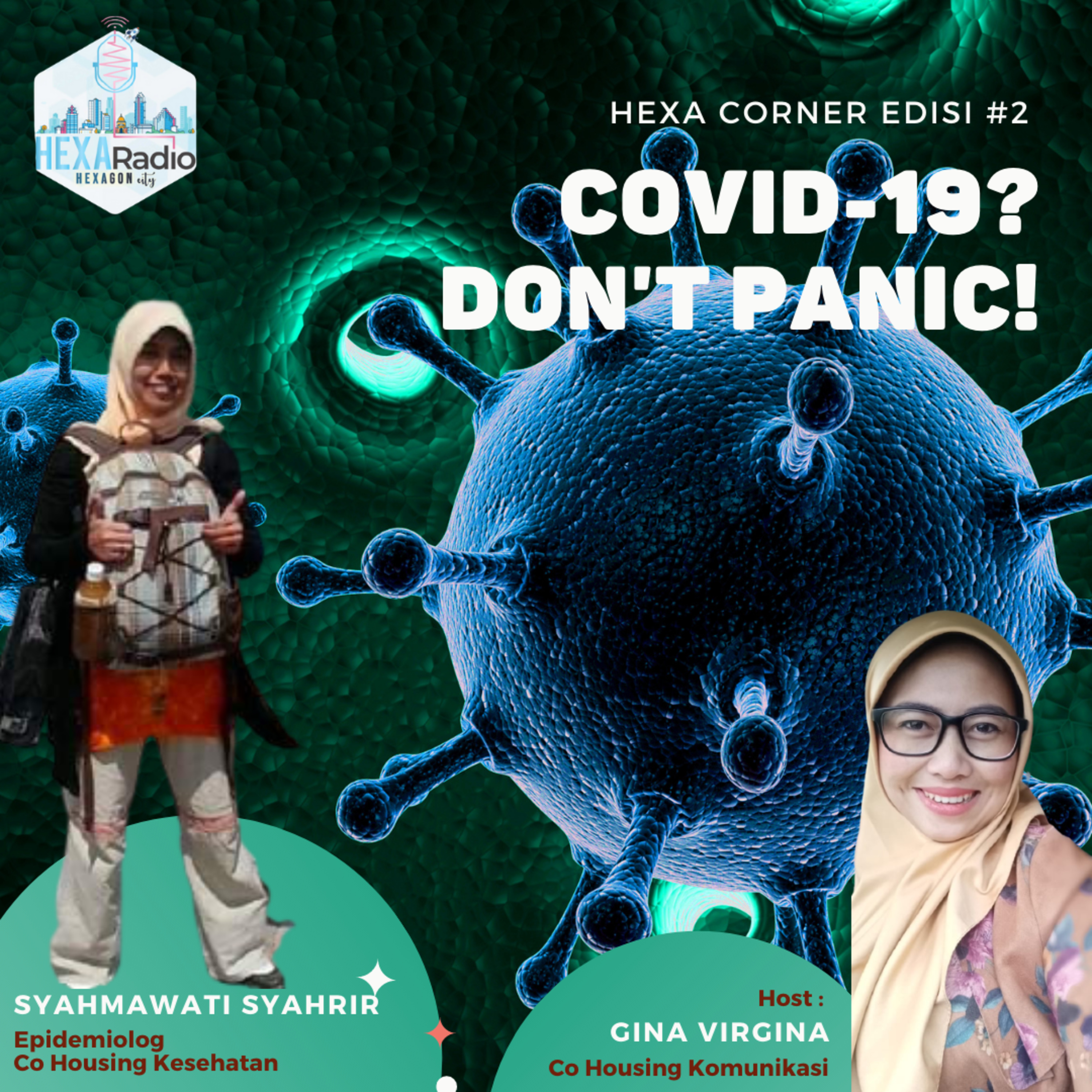 Hexa Corner #2 - Covid 19? Don't Panic! with Gina Virgina episode artwork