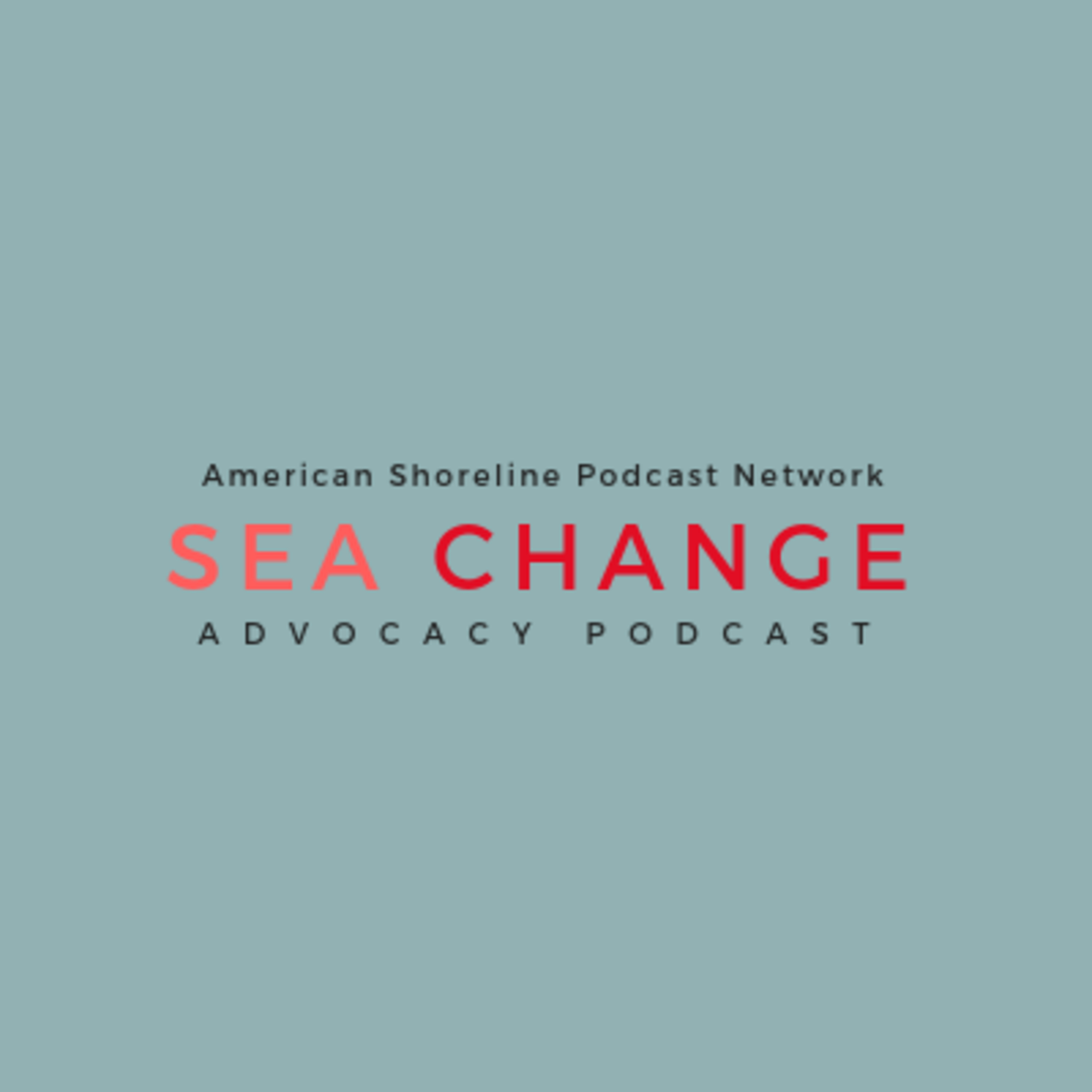 Bringing Down Barriers and Building Community with with Carmera Thomas-Wilhite | Sea Change episode artwork