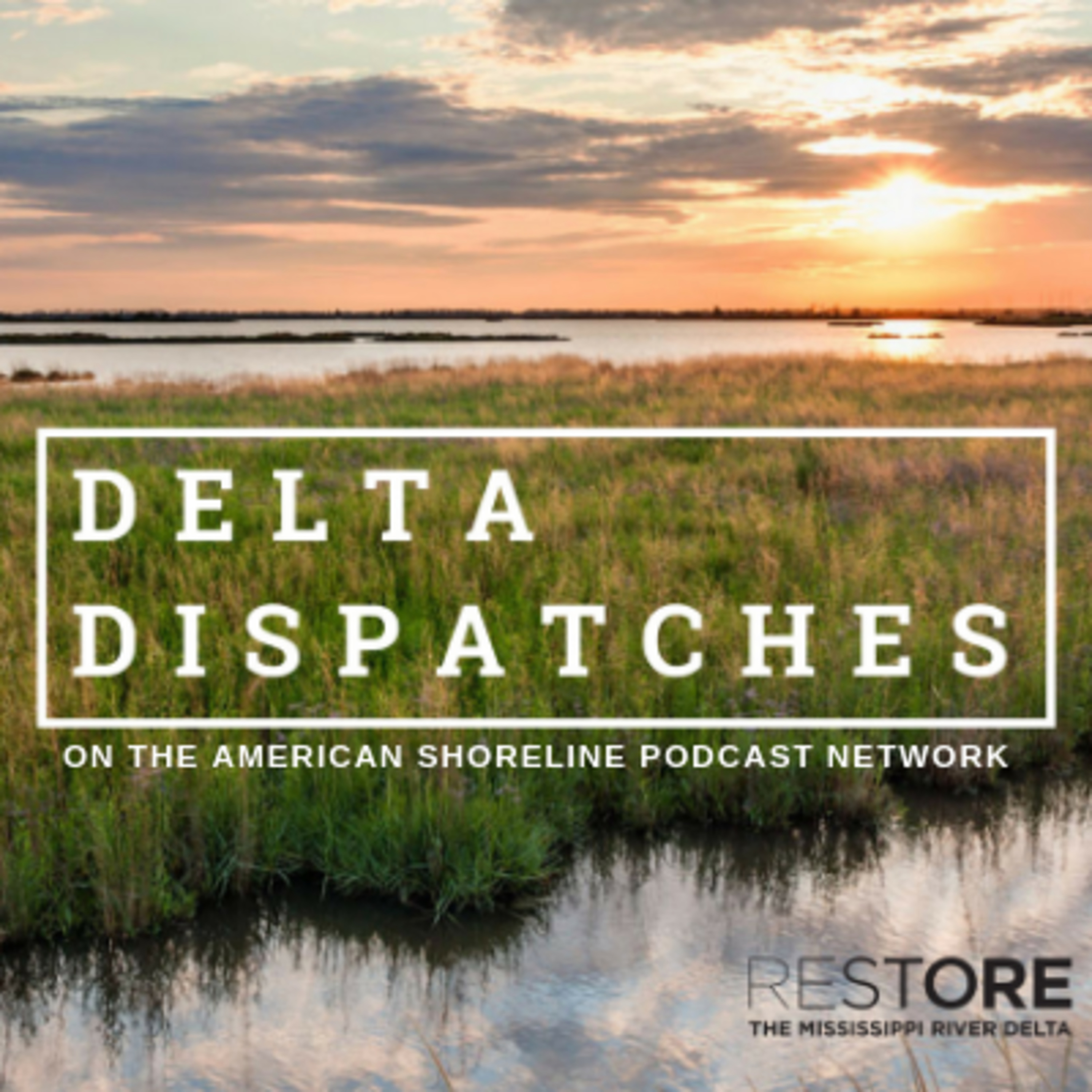Discussing the Mid Barataria DEIS with the Army Corps | Delta Dispatches episode artwork