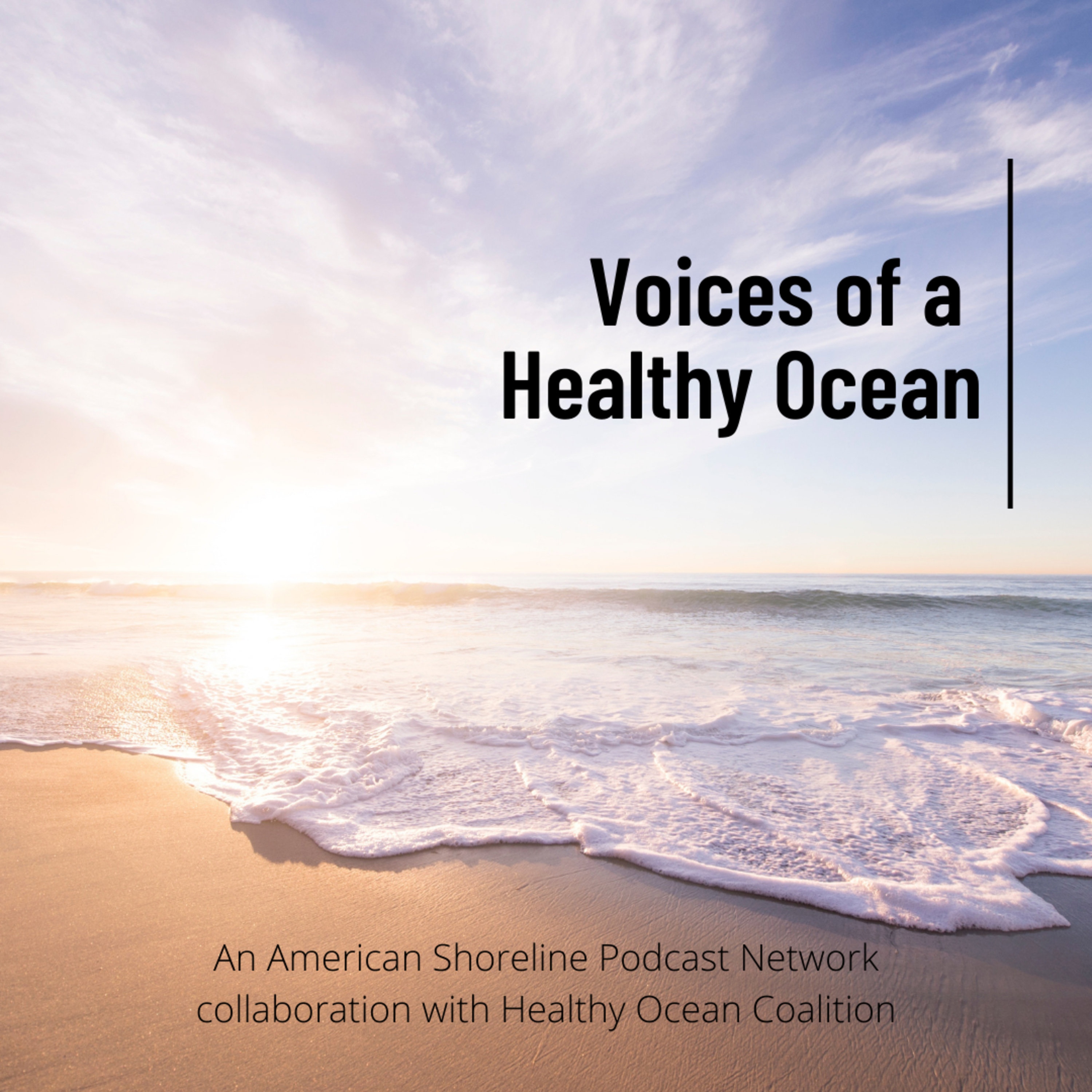 Staten Island with Mac Cardona of cWave Labs | Voices of a Healthy Ocean episode artwork
