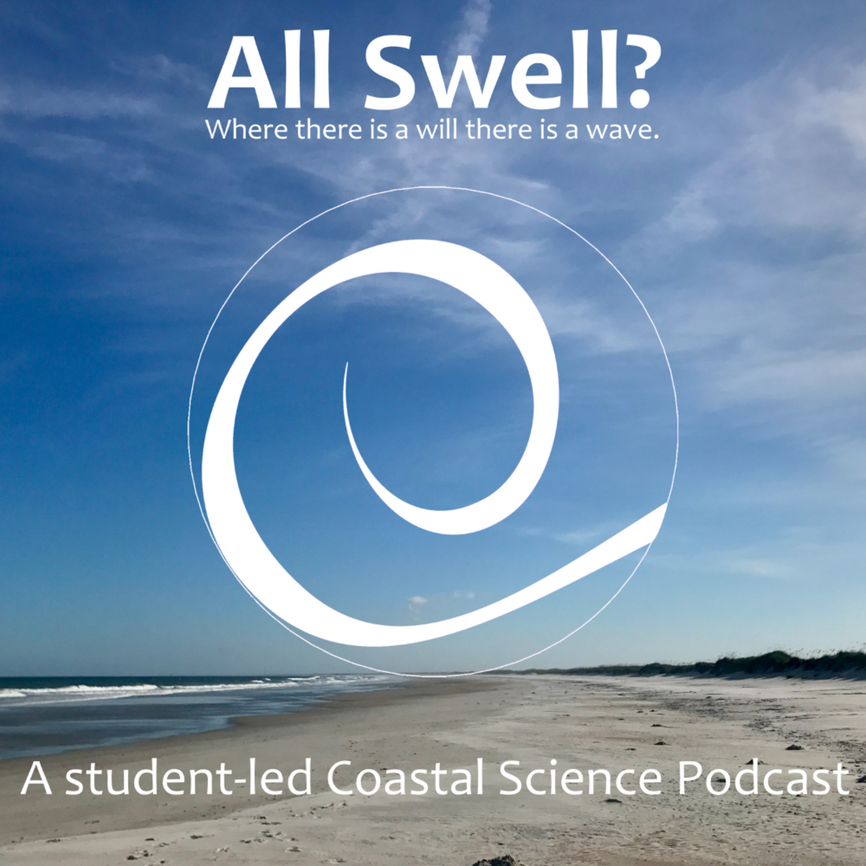 Bonehenge Whale Center: Honoring the Lives of Marine Mammals through Education and Conservation episode artwork