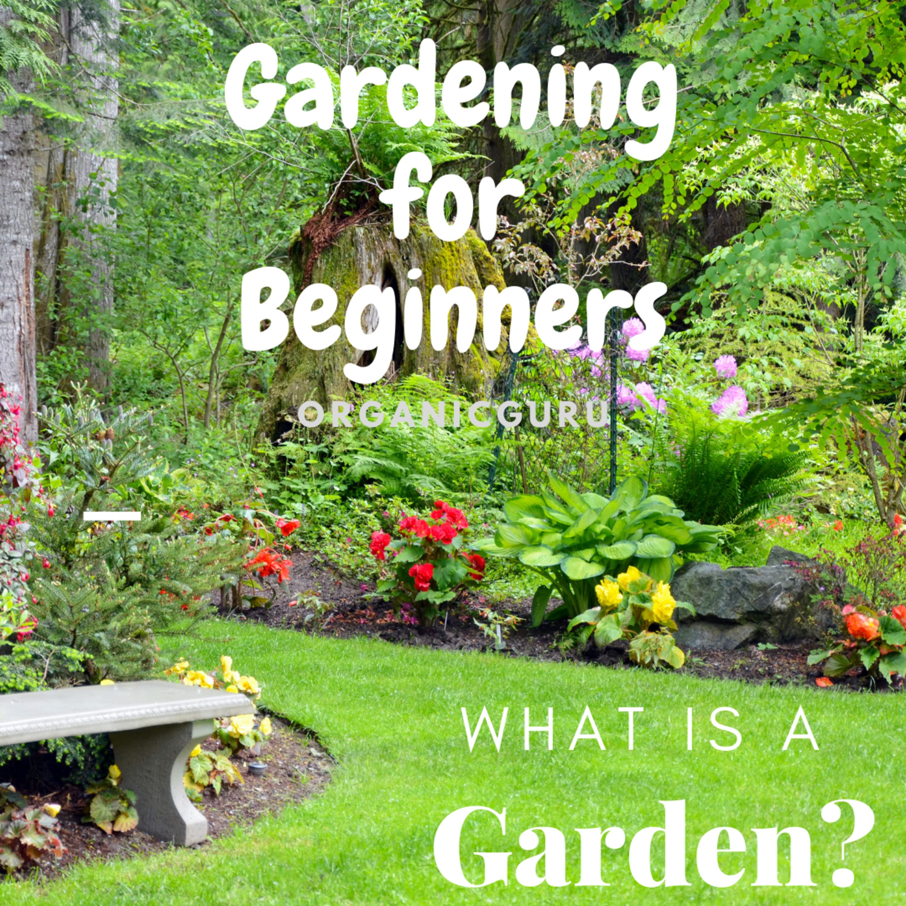Gardening for Beginners (Intro)