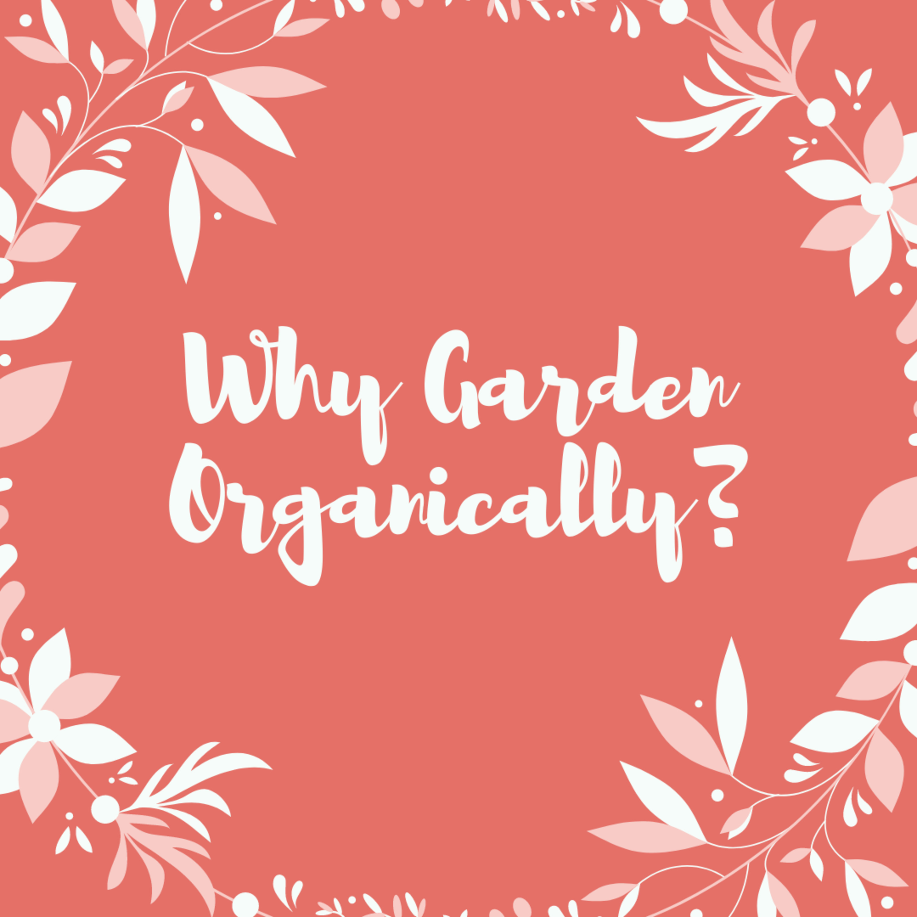 Why Garden Organically?