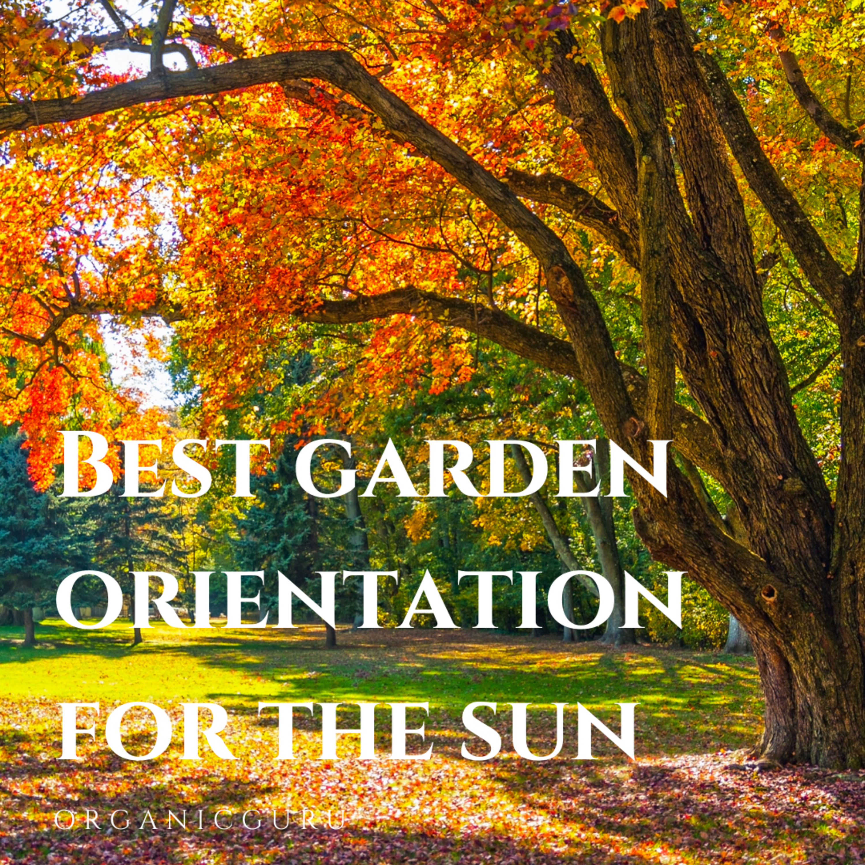 Best garden orientation for the sun