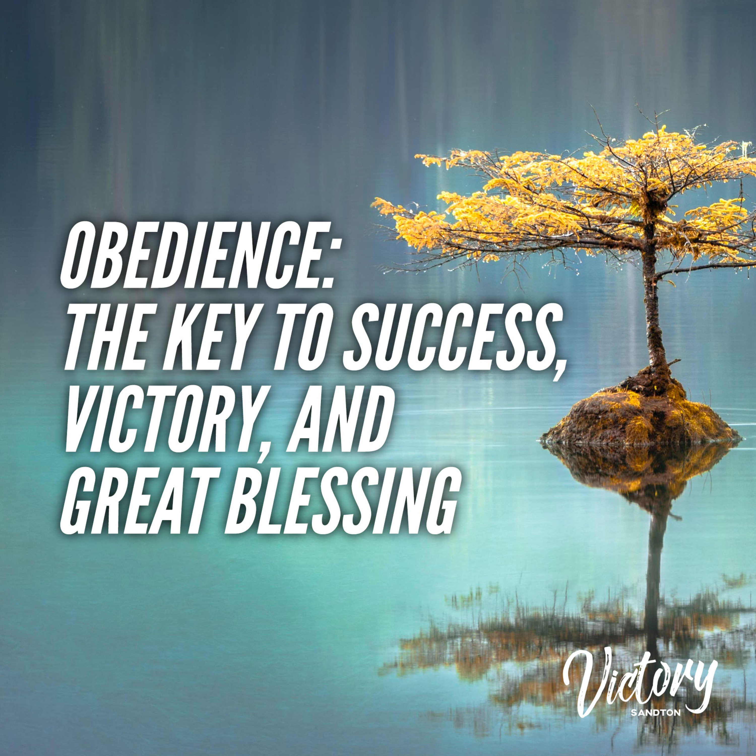 Obedience: The Key to Success, Victory, and to Great Blessing | Michel Lefebure episode artwork