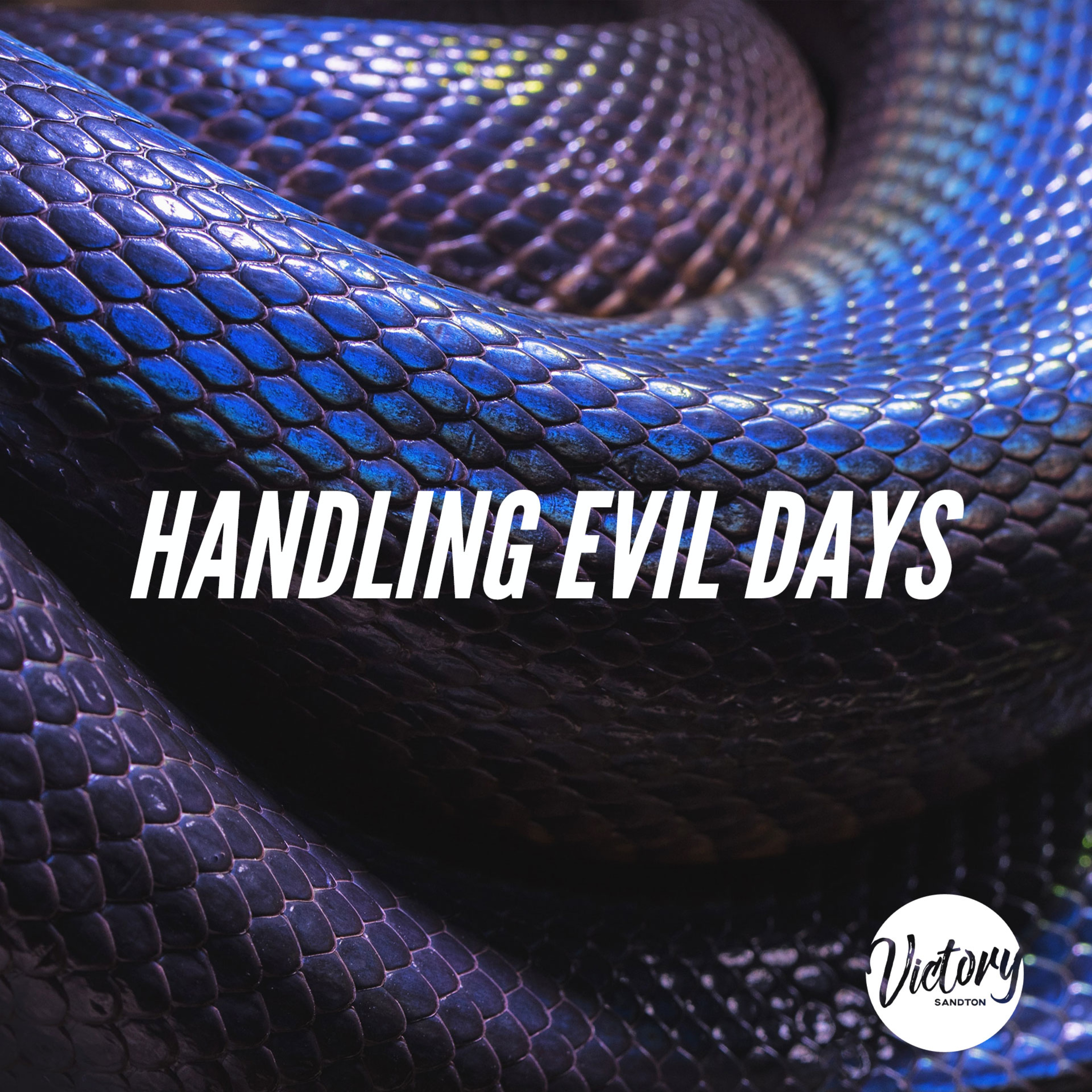 Handling Evil Days | Michel Lefebure episode artwork