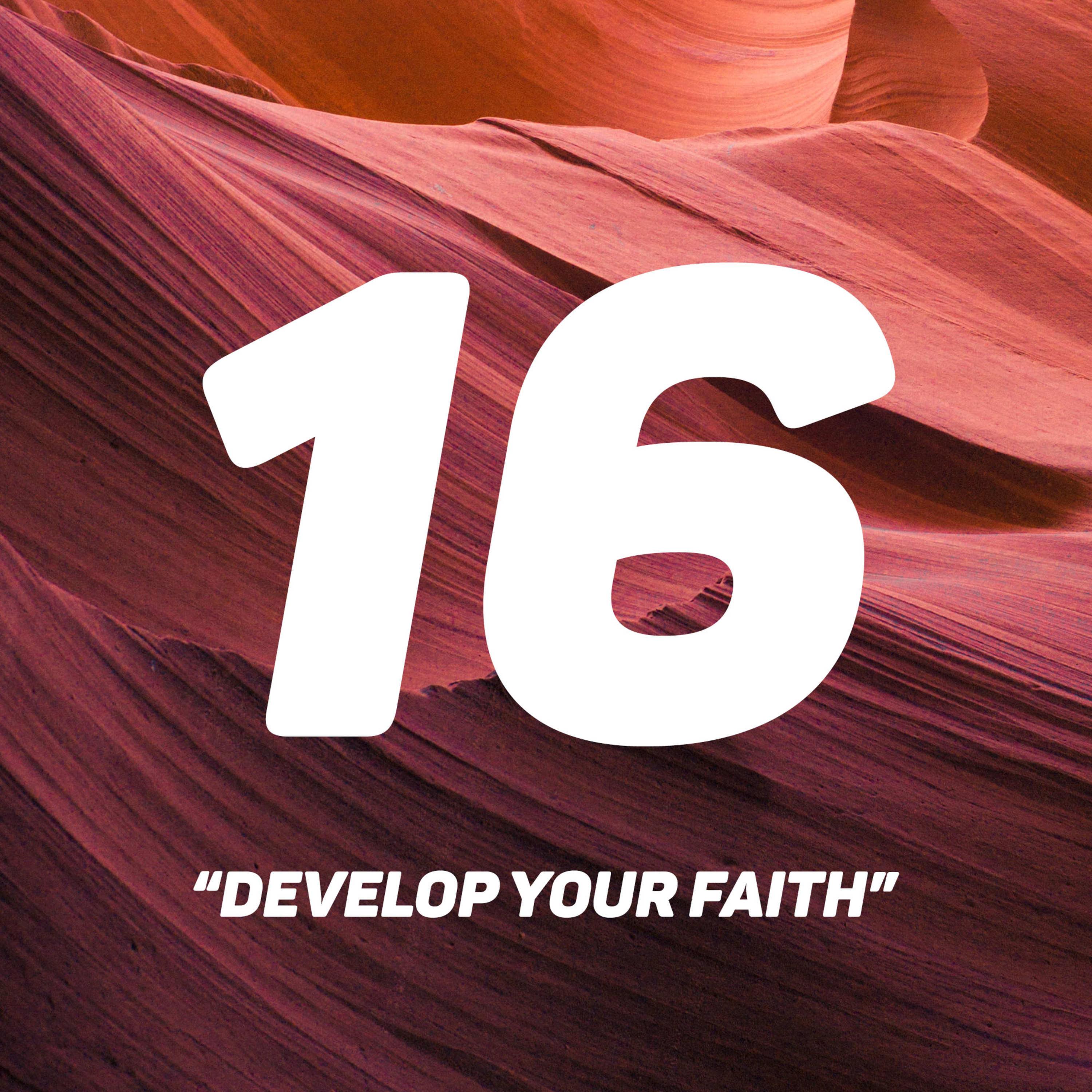 Develop Your Faith | Michel Lefebure episode artwork