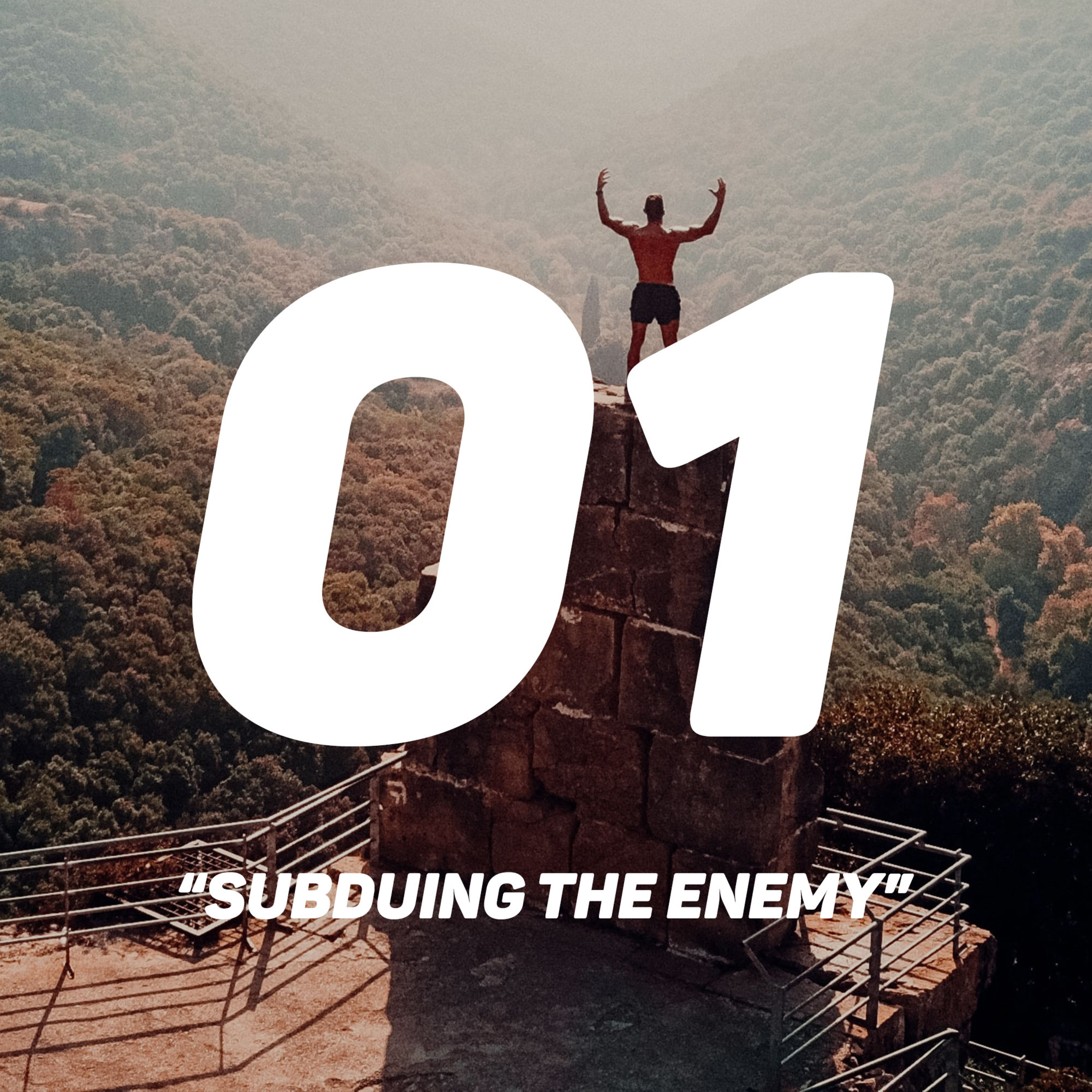 Subduing The Enemy - Part 01 | Michel Lefebure episode artwork
