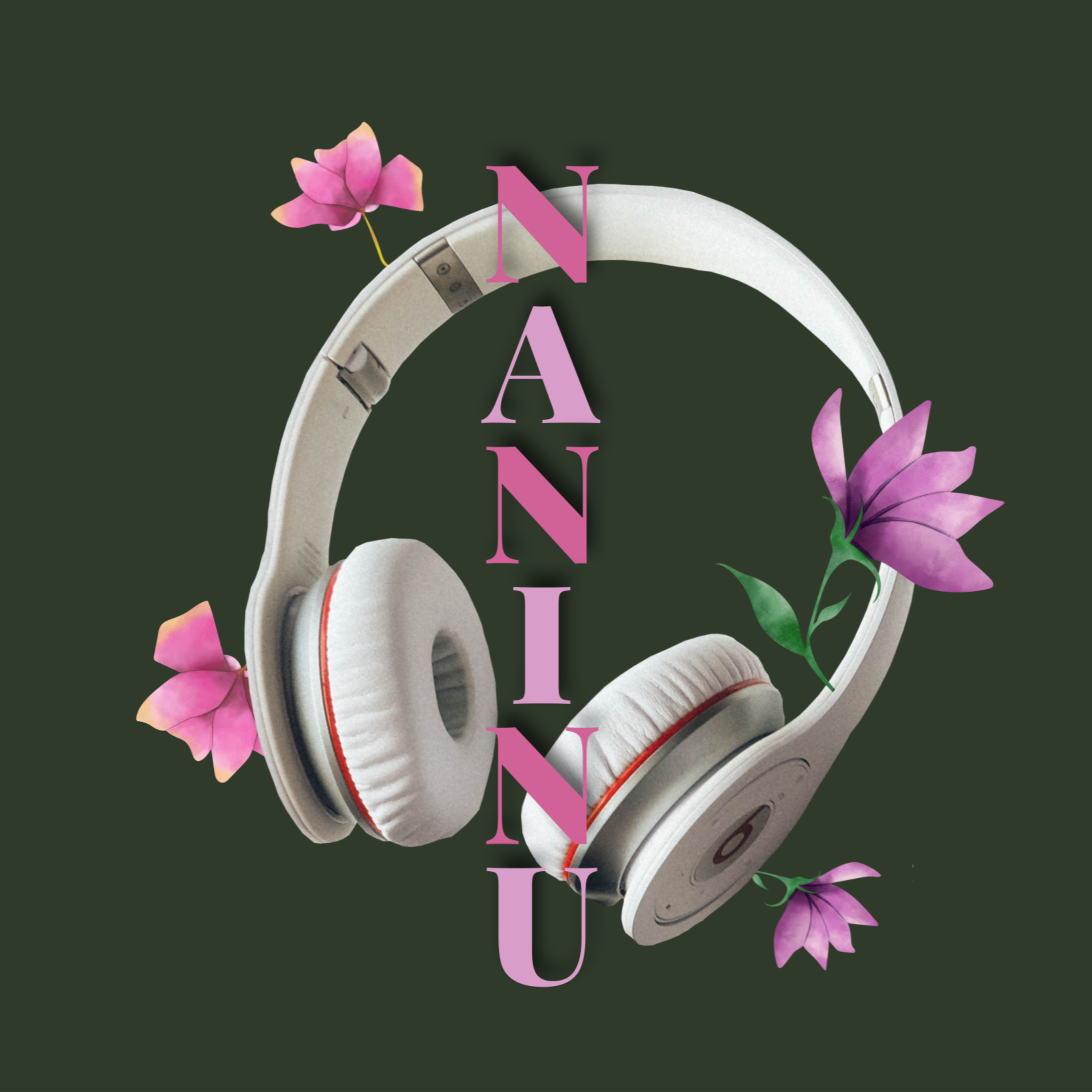 NaNiNu Podcast