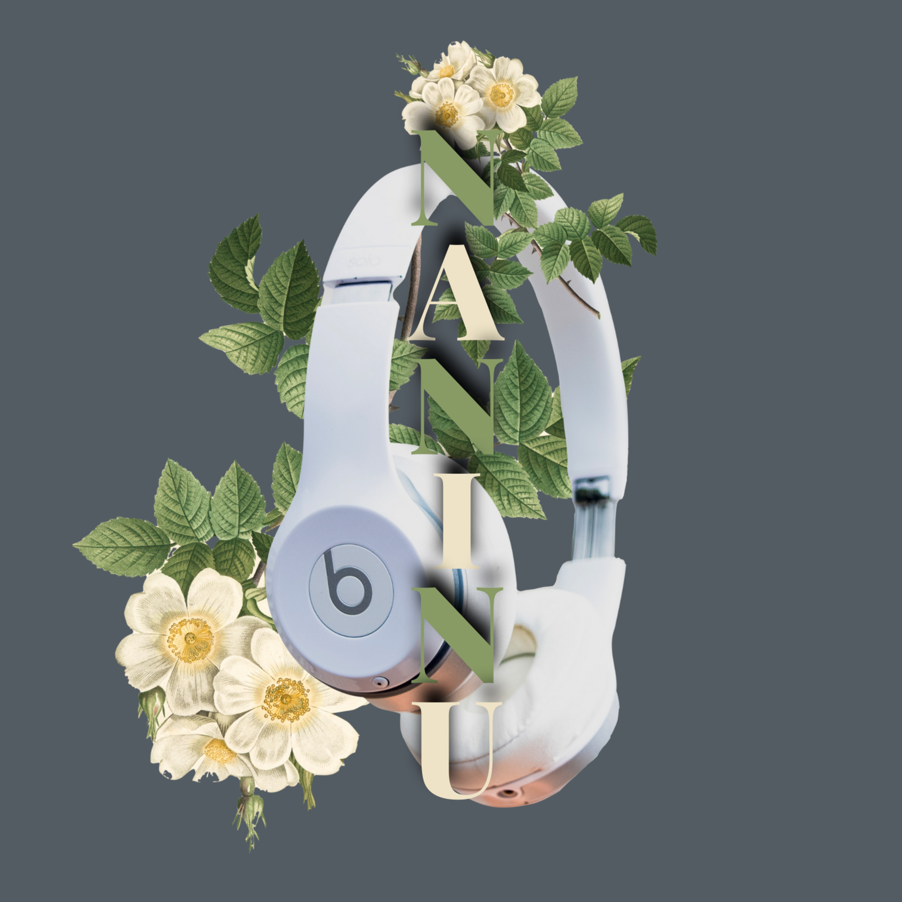 NaNiNu Podcast