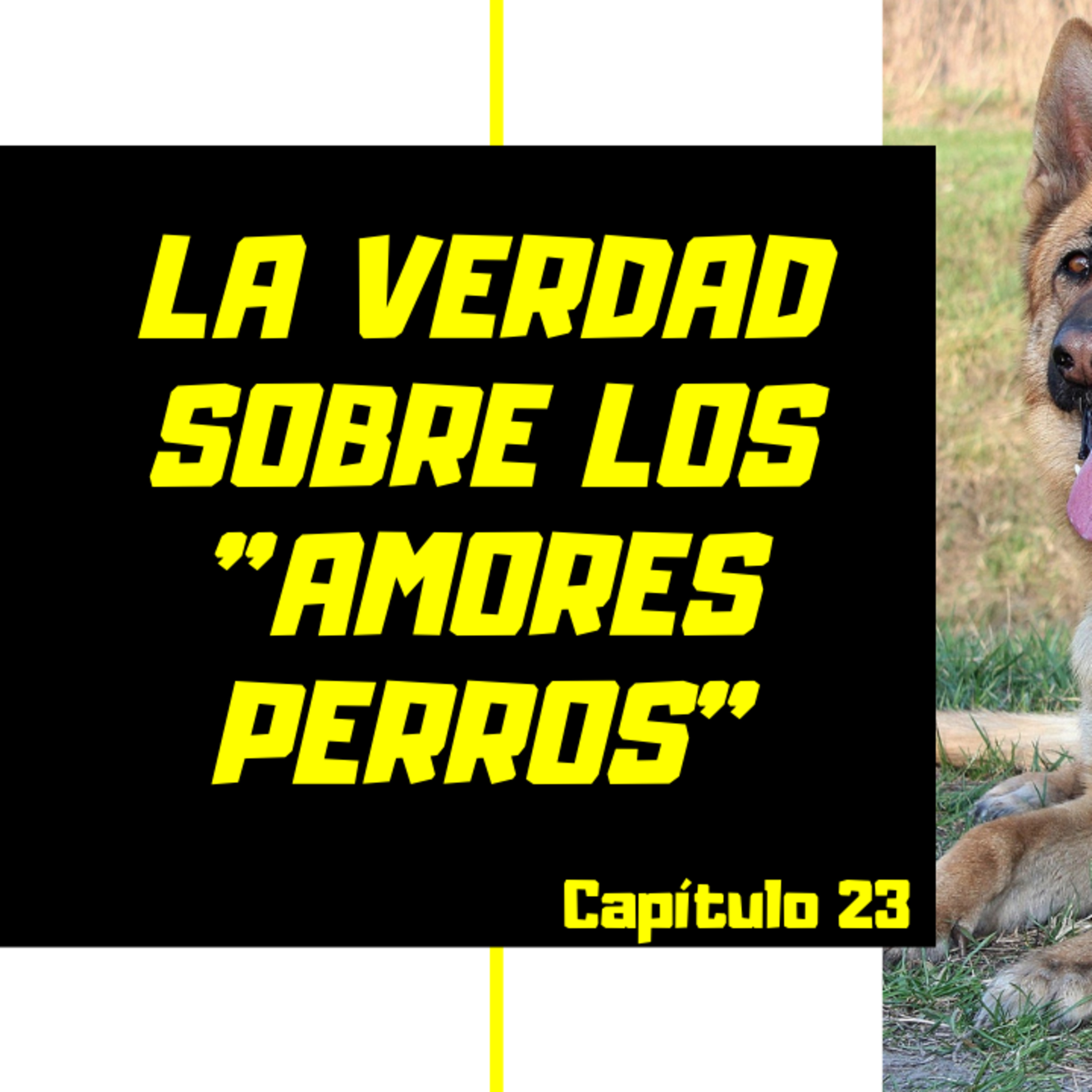 Ser humano en construcción