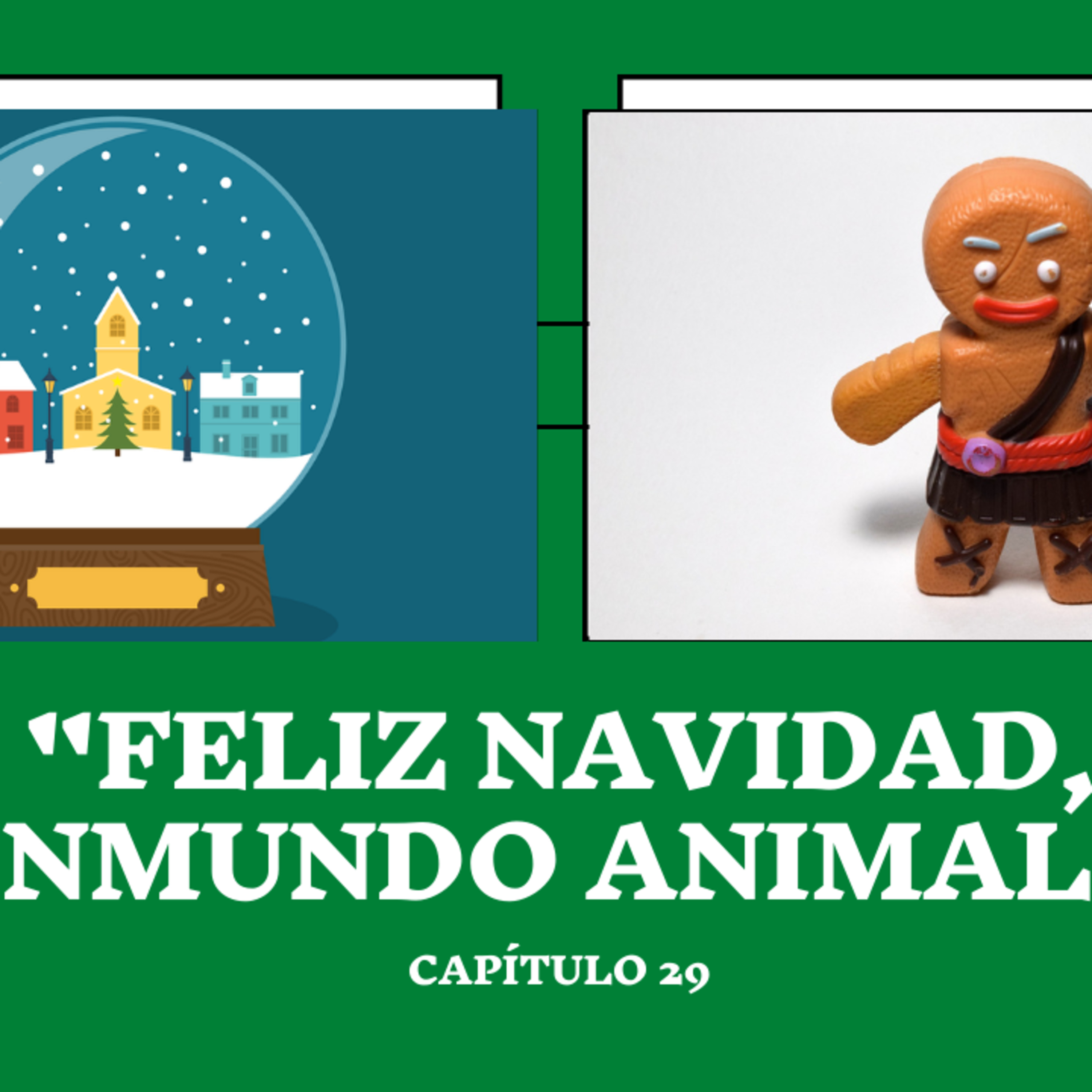 Ser humano en construcción