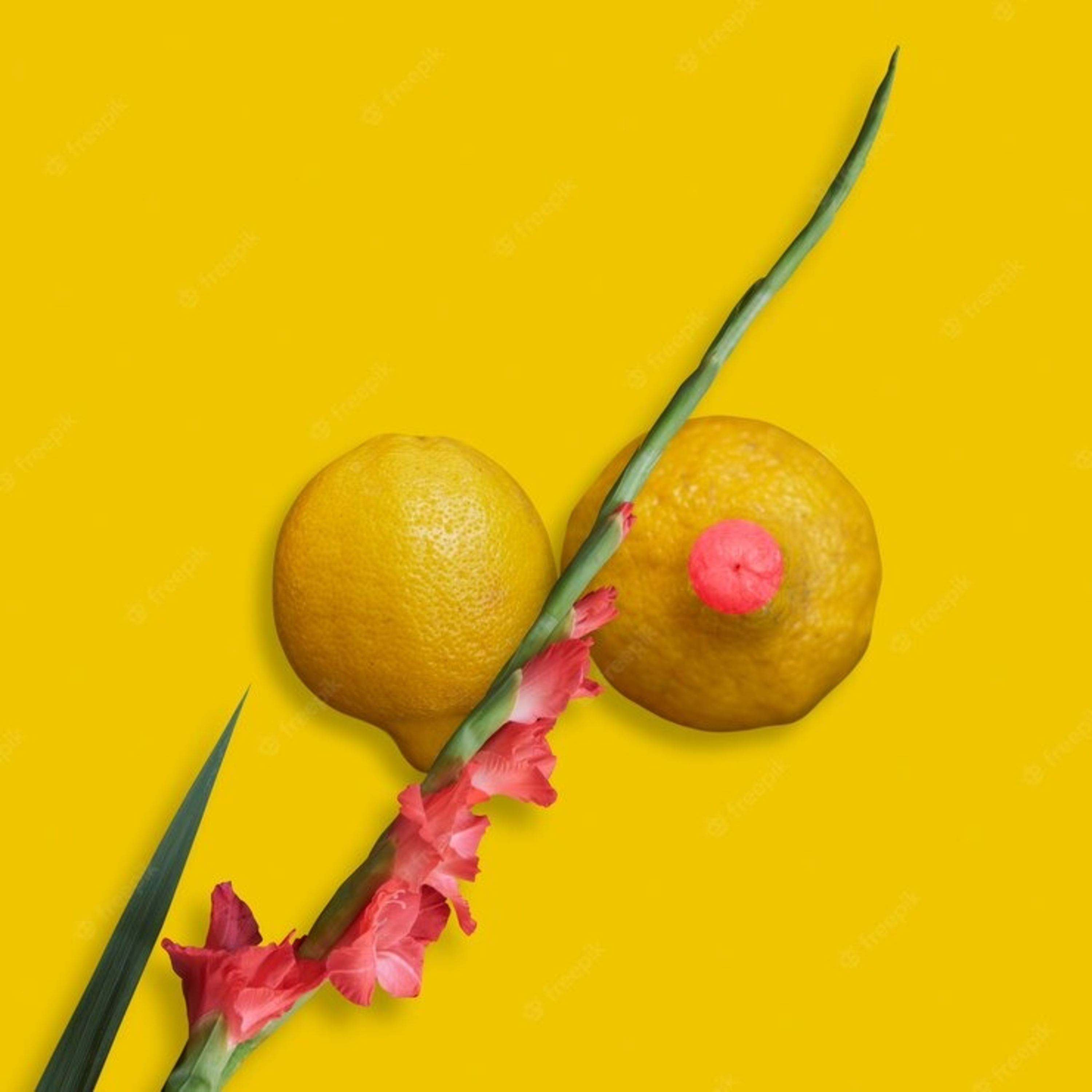 Itzel Torres Chanona