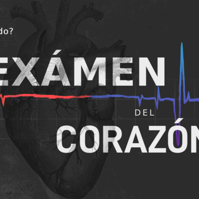 Mateo 23// Examen del Corazón 6// Mi Corazón y la Preocupación