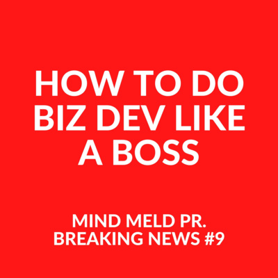 Mind Meld PR #9 - How to do business development like a boss!