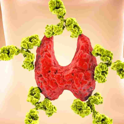 🥑Nutrición por un Nutricionista Real 🍉