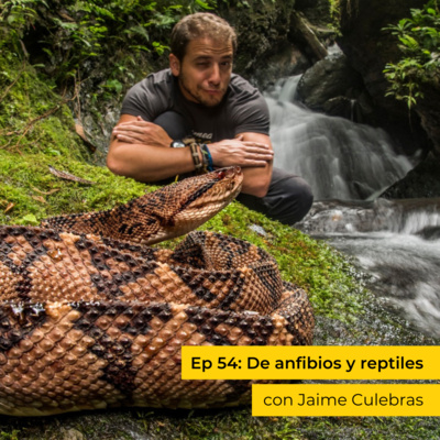 Ep 54: De Anfibios y reptiles, con Jaime Culebras