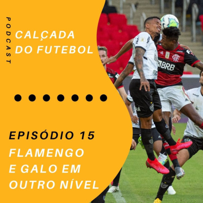#15 Flamengo e Galo em outro nível