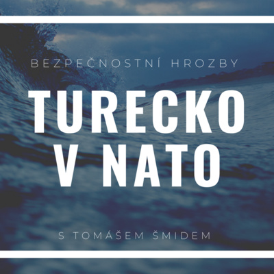 Turecko v NATO