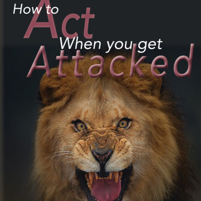 How to Act When You Get Attacked - Part 5