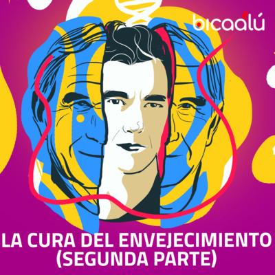 Revista Bicaalú (creatividad + inspiración)
