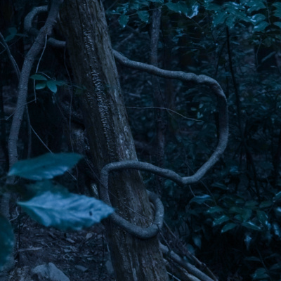 山の場 / 草を刈る刈る刈る 【海の見える家 DAY6】