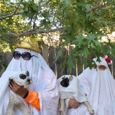 Normal Paranormal Podcast