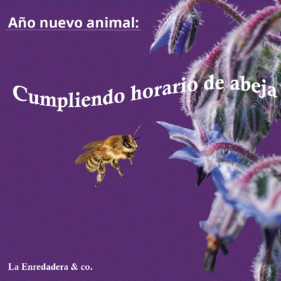 Año Nuevo Animal: Cumpliendo horario de abeja