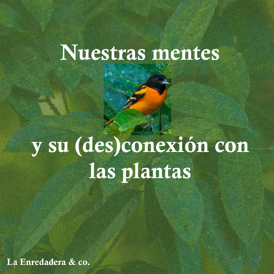 Nuestras mentes y su (des)conexión con las plantas