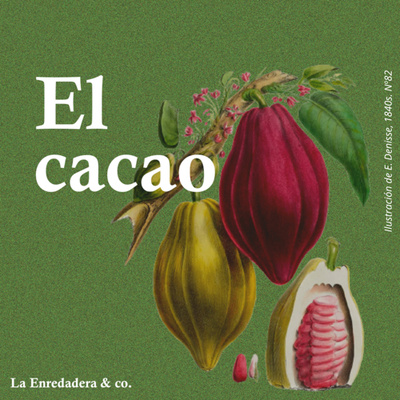 El cacao