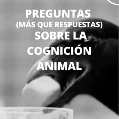 La Enredadera & co.