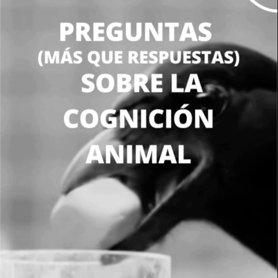 Preguntas (más que respuestas) sobre la cognición animal