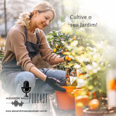 Alexandre Nasce Podcast
