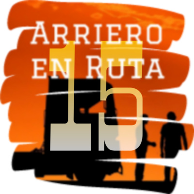 15-02 Eliminación de requisitos para ser transportista por el TSJ