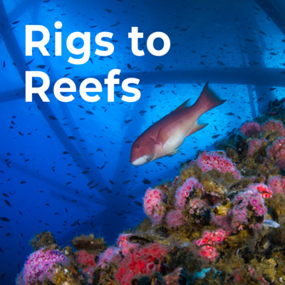 Rigs to Reefs: Innovative ocean conservation with Blue Latitudes