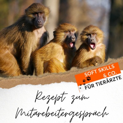 Soft Skills & Co. für Tierärzte