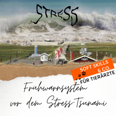 Soft Skills & Co. für Tierärzte