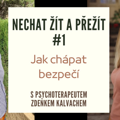 Nechat žít a přežít #1 - Jak chápat bezpečí episode artwork