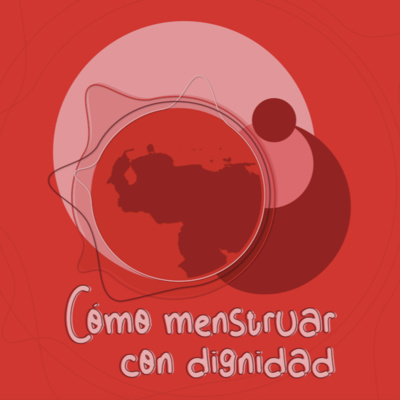 Cómo menstruar con dignidad: experiencias de pobreza menstrual en Venezuela