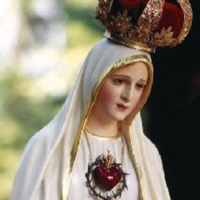 Vox Immaculatae