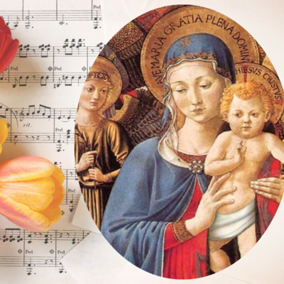 Vox Immaculatae
