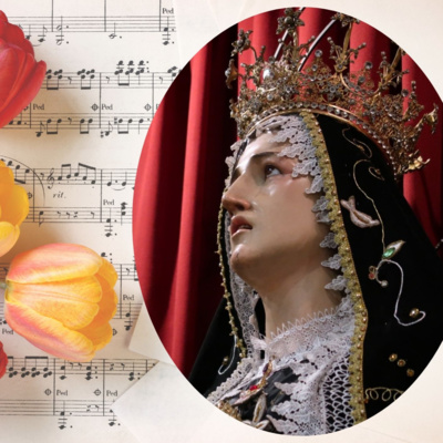 Vox Immaculatae