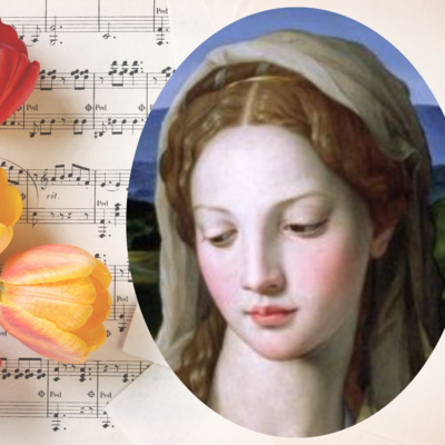 Vox Immaculatae
