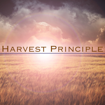 The Harvest Principle: You Reap What You Sow.
