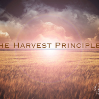 The Harvest Principle: Gaining Wisdom