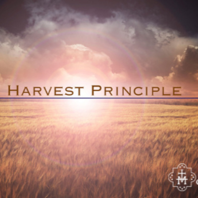 The Harvest Principle: Investing in Your Future