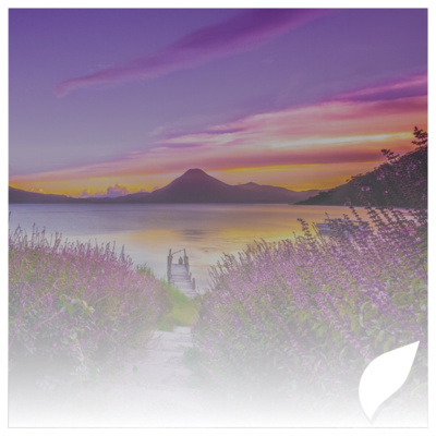 #8 Antigua, Breathtaking Views and Life-Changing Coffee #8 Antigua, Breathtaking Views and Life-Changing Coffee