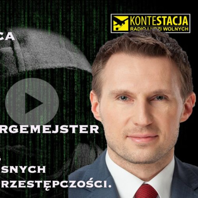 CYFROWA WOJNA, CZYLI O NOWOCZESNYCH FORMACH CYBERPRZESTĘPCZOŚCI - SEBASTIAN BURGEMEJSTER.